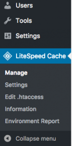 LiteSpeed Cache Advanced Settings